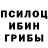Псилоцибиновые грибы Magic Shrooms Vladson Li