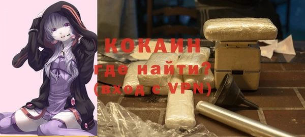 ГАЛЛЮЦИНОГЕННЫЕ ГРИБЫ Богданович