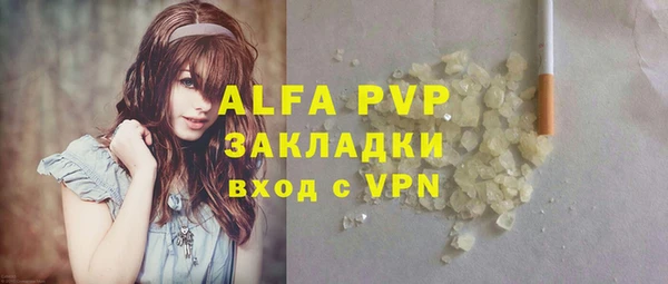 ГАЛЛЮЦИНОГЕННЫЕ ГРИБЫ Богданович