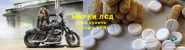 ГАЛЛЮЦИНОГЕННЫЕ ГРИБЫ Богданович