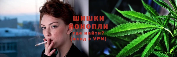 ГАЛЛЮЦИНОГЕННЫЕ ГРИБЫ Богданович