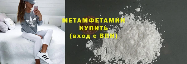 ГАЛЛЮЦИНОГЕННЫЕ ГРИБЫ Богданович