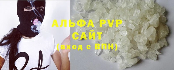 ГАЛЛЮЦИНОГЕННЫЕ ГРИБЫ Богданович
