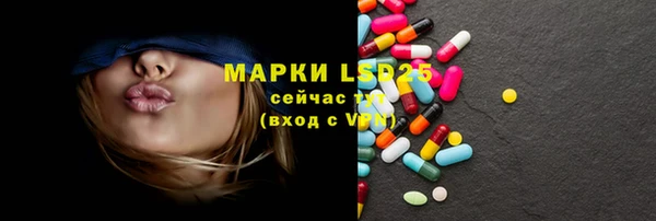 ГАЛЛЮЦИНОГЕННЫЕ ГРИБЫ Богданович