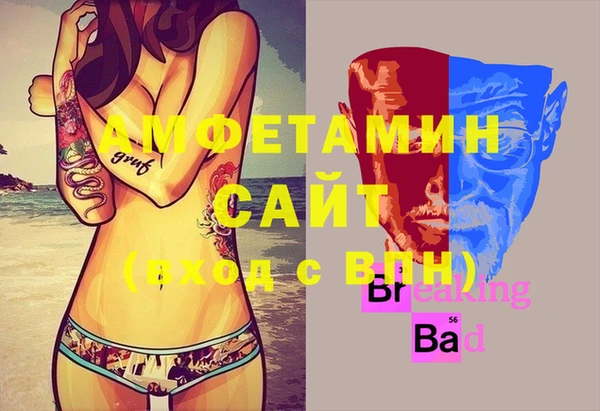 ГАЛЛЮЦИНОГЕННЫЕ ГРИБЫ Богданович