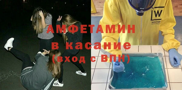 ГАЛЛЮЦИНОГЕННЫЕ ГРИБЫ Богданович
