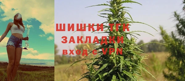 ГАЛЛЮЦИНОГЕННЫЕ ГРИБЫ Богданович