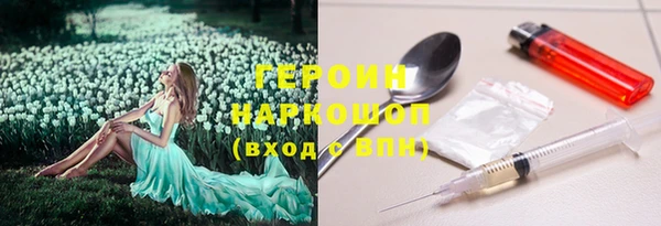 ГАЛЛЮЦИНОГЕННЫЕ ГРИБЫ Богданович