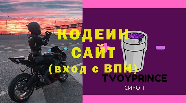ГАЛЛЮЦИНОГЕННЫЕ ГРИБЫ Богданович