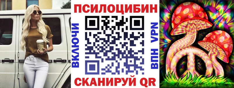 Галлюциногенные грибы Psilocybe  продажа наркотиков  Южно-Сахалинск 